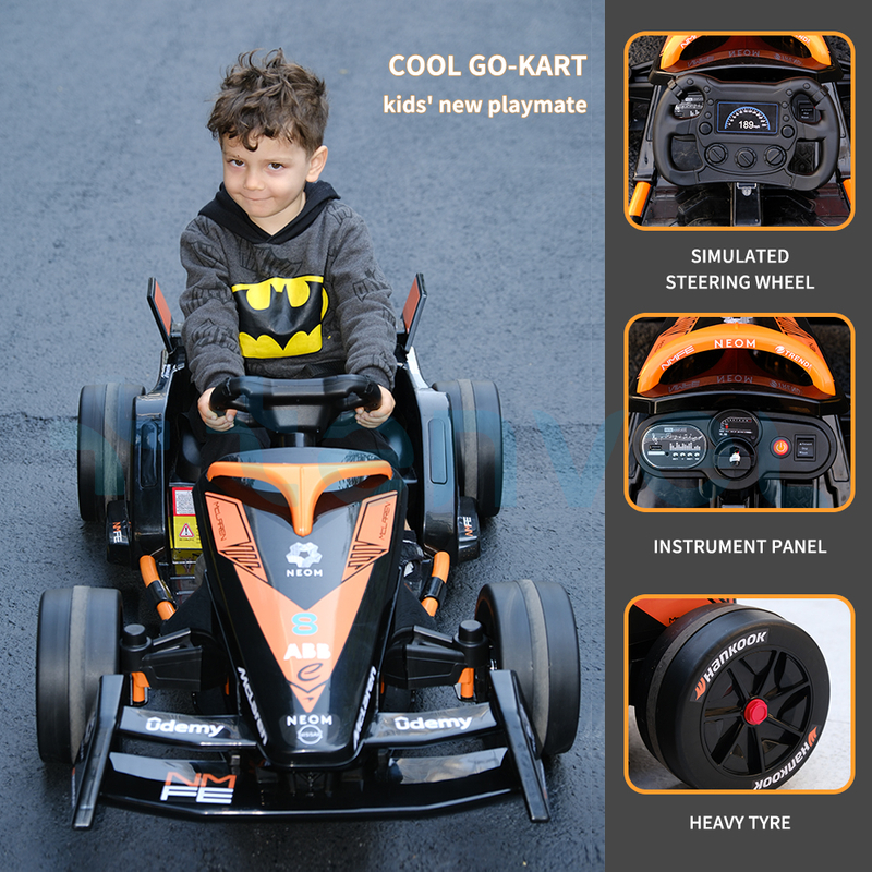 DLS-K09