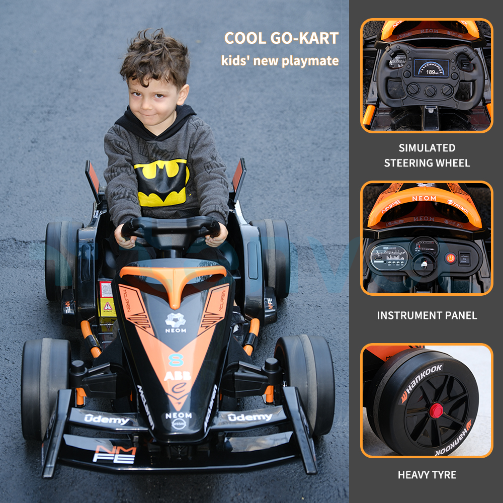 DLS-K09
